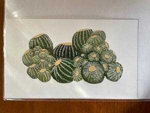 Golden Barrel Cactus Original Painting