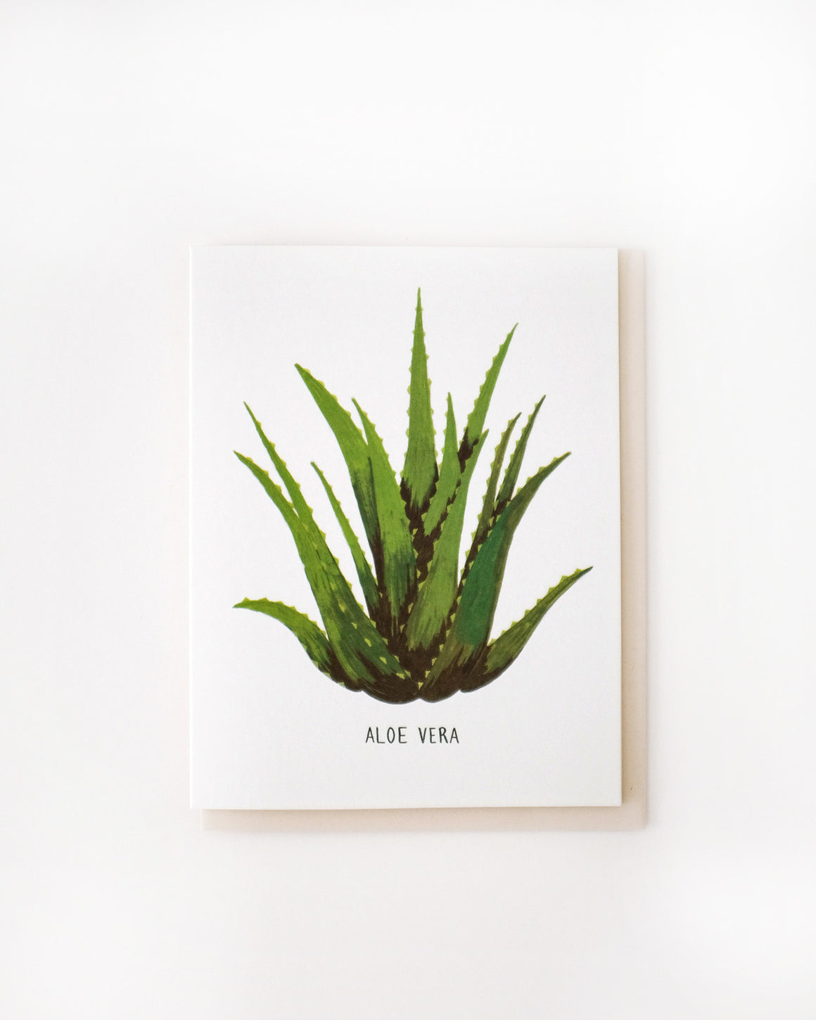 Aloe Vera Card