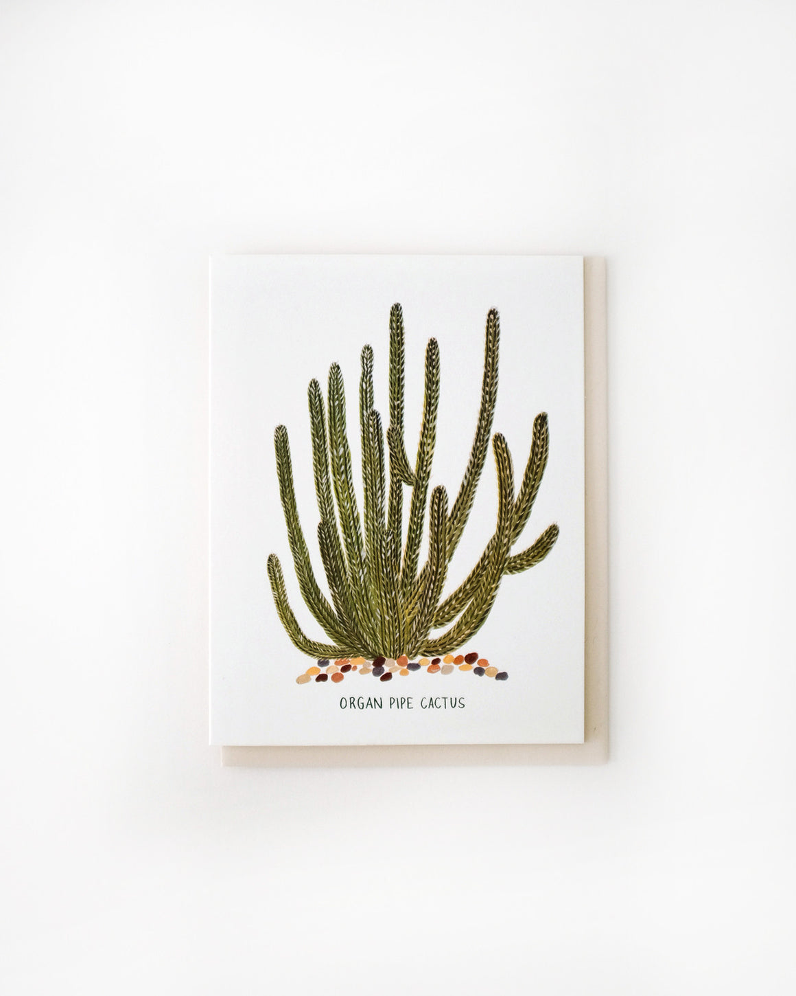 Organ Pipe Cactus Card