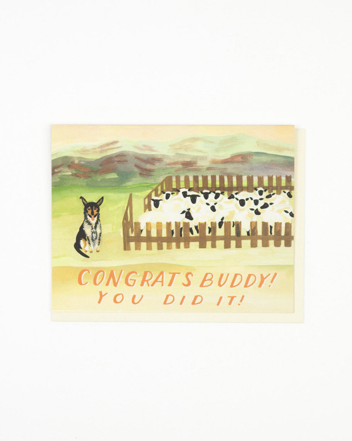 Sheep Dog Congrats Card